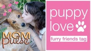 Furry Friends Tag | BumpsAlongTheWay
