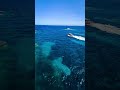 Hotel des Pecheurs | Aerial View | Ile de Cavallo #holidayrecipe #honeymoon #corsica