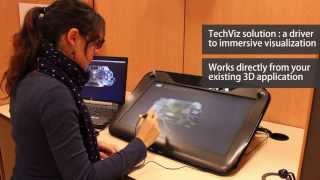 Watch Unity on zSpace and HP Zvr displayed with TechViz Net Worth