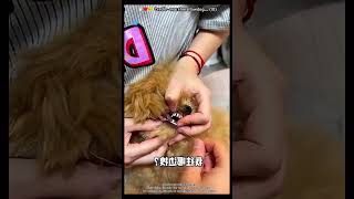 Wood Working Withart Handcraft Ideahome Madereal Telentskill-Art