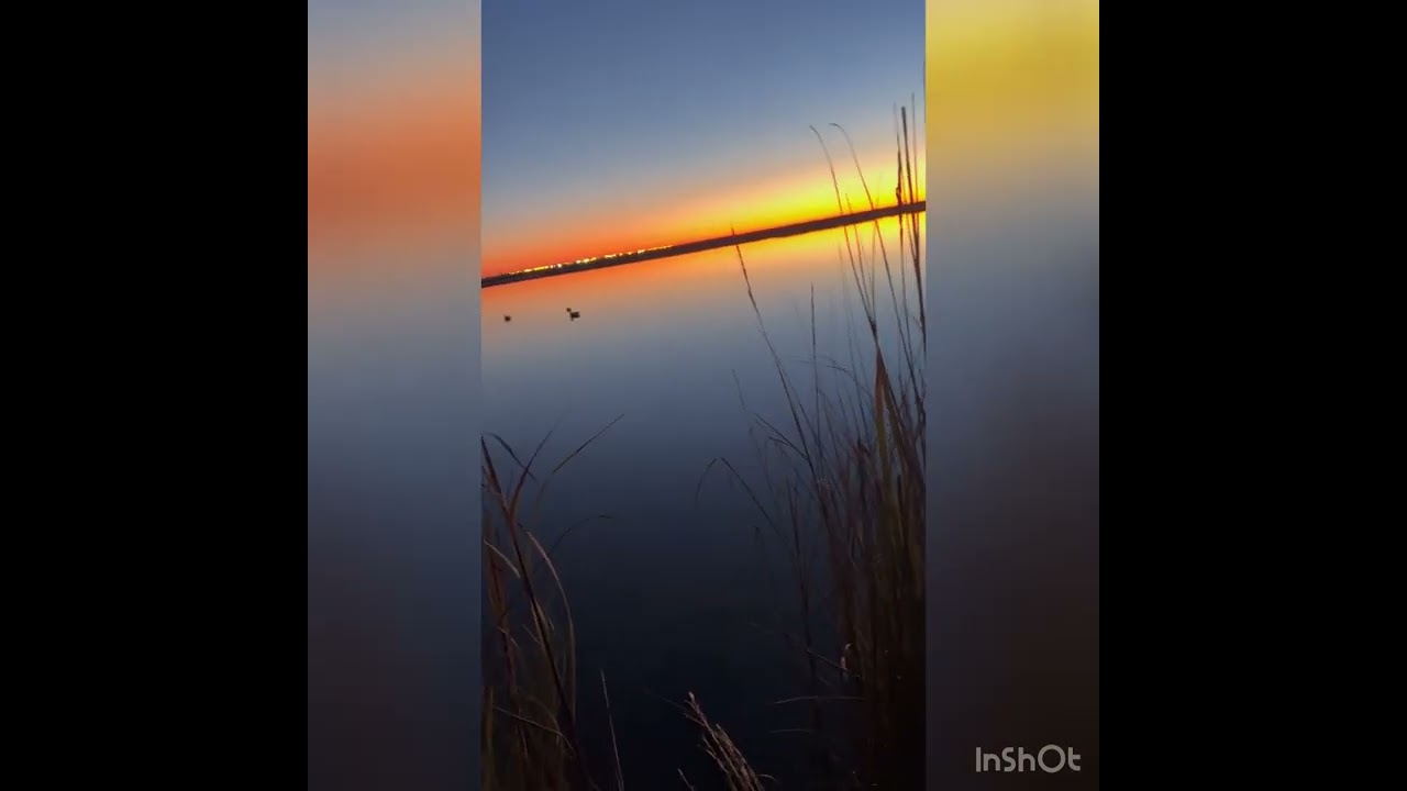 Justin Hurst WMA Duck Hunt 2023