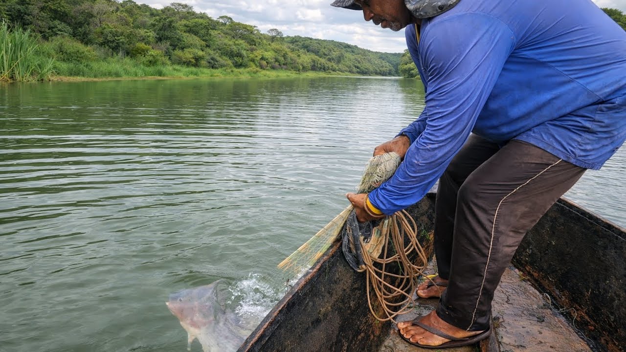 Tilapão de mais de 1 kg // Briga boa // Assista na íntegra