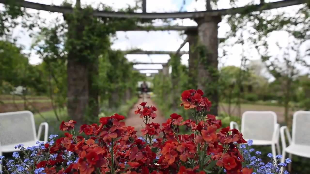 Flycam Steadicam 5000 - MB