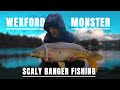 Hunting a 25lb Wexford Monster | Overnight Carp Fishing in Ireland