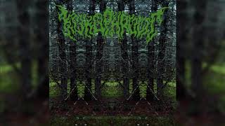 Kokophrolic - Scepticisme