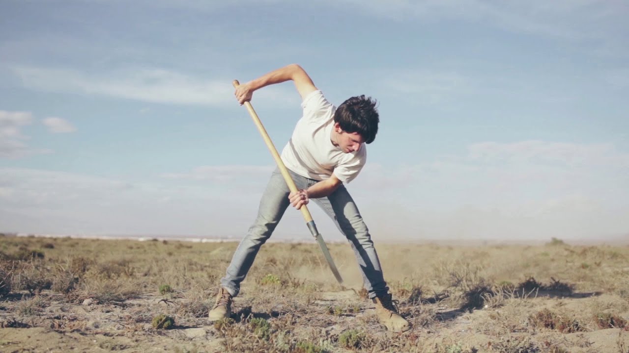 Pájaro Jack - El Frente Polar