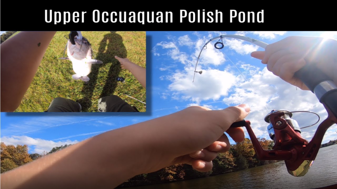 Fishing at the Upper Occoquan Polish Pond YouTube