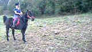 DSCF1770