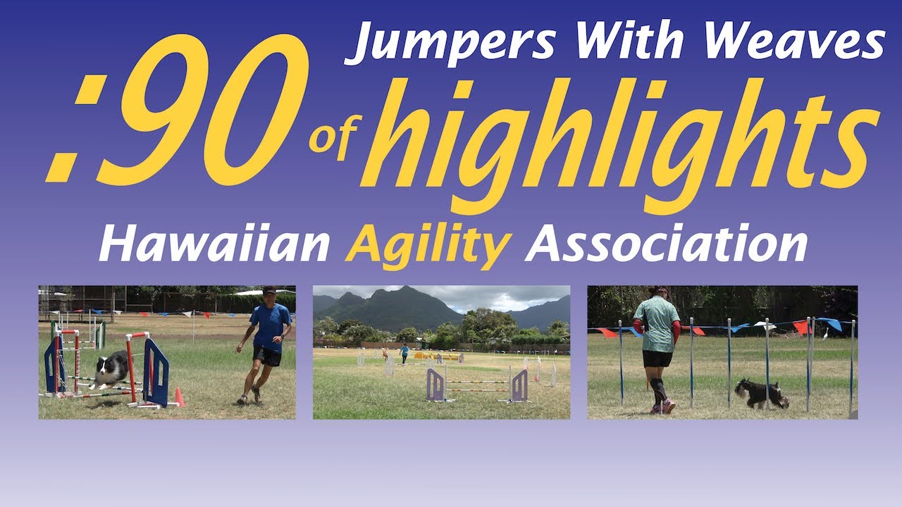 hawaiian agility