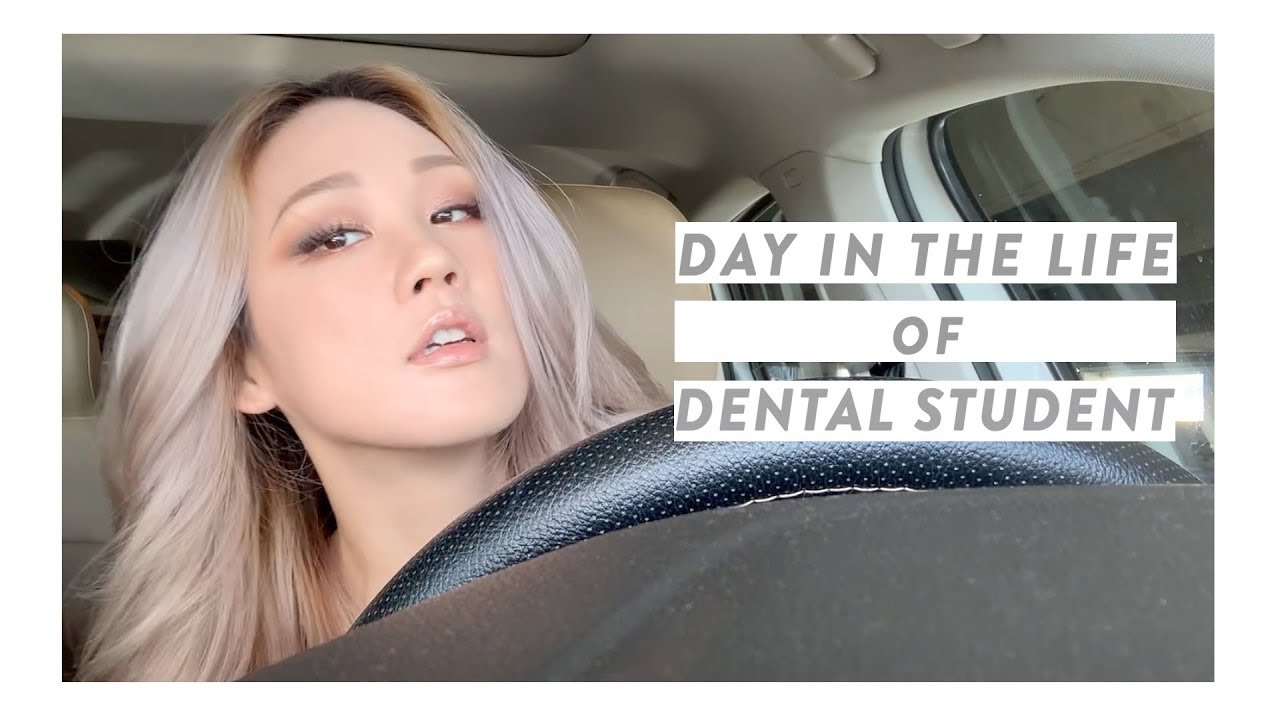 Chill Day at Dental School | 여유로웠던 치대생의 하루
