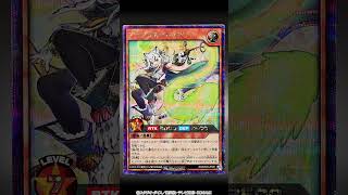 公式】「悠久のギャラクティカ」シークレットレア実物紹介【遊戯王