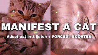 MANIFEST A CAT / KITTEN | subliminal  ⚠FORCED⚠ BENEFITS + In ONE listen