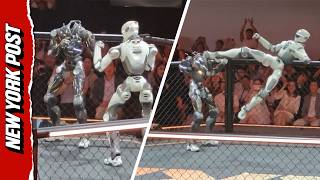Losing a Head Doesn't Stop This Robot From Battling Another in the Ring