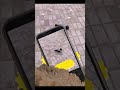 ворона и бобёр