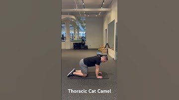 Thoracic Cat Camel
