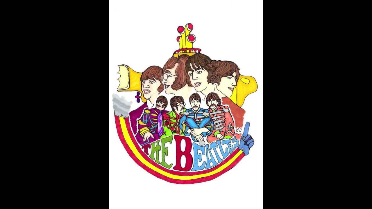 Norwegian Wood (Beatles Cover w/ Bowed Seagull Merlin)