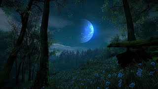 Enchanting Nightfall Ambient Sounds for a Peaceful Sleep