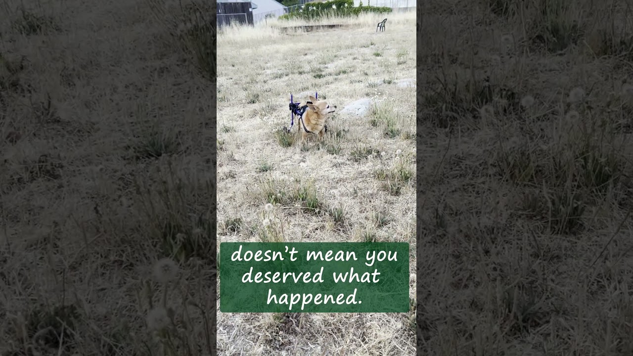 Gentle Reminder: Just Because You're Strong Doesn't Mean You Deserved What Happened