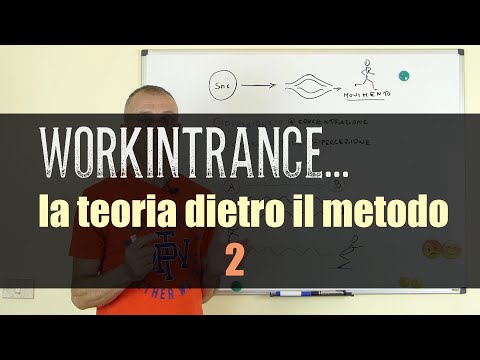 Workintrance: la teoria dietro il metodo 2 ( come cambia la percezione del movimento )