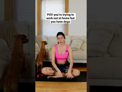 Video: Köpek + Yoga = Doga