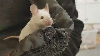 In Conversation with Percys Human