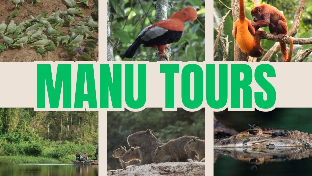 Amazon Manu Tour Trips - Manu Jungle Trips.