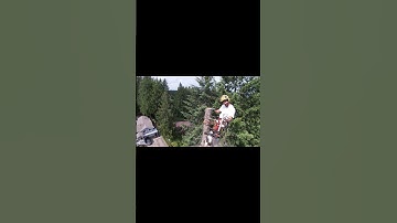 Let’s touch chainsaws! #shorts #treework #stihl #chainsaw #arborist #professional #climber #gopro