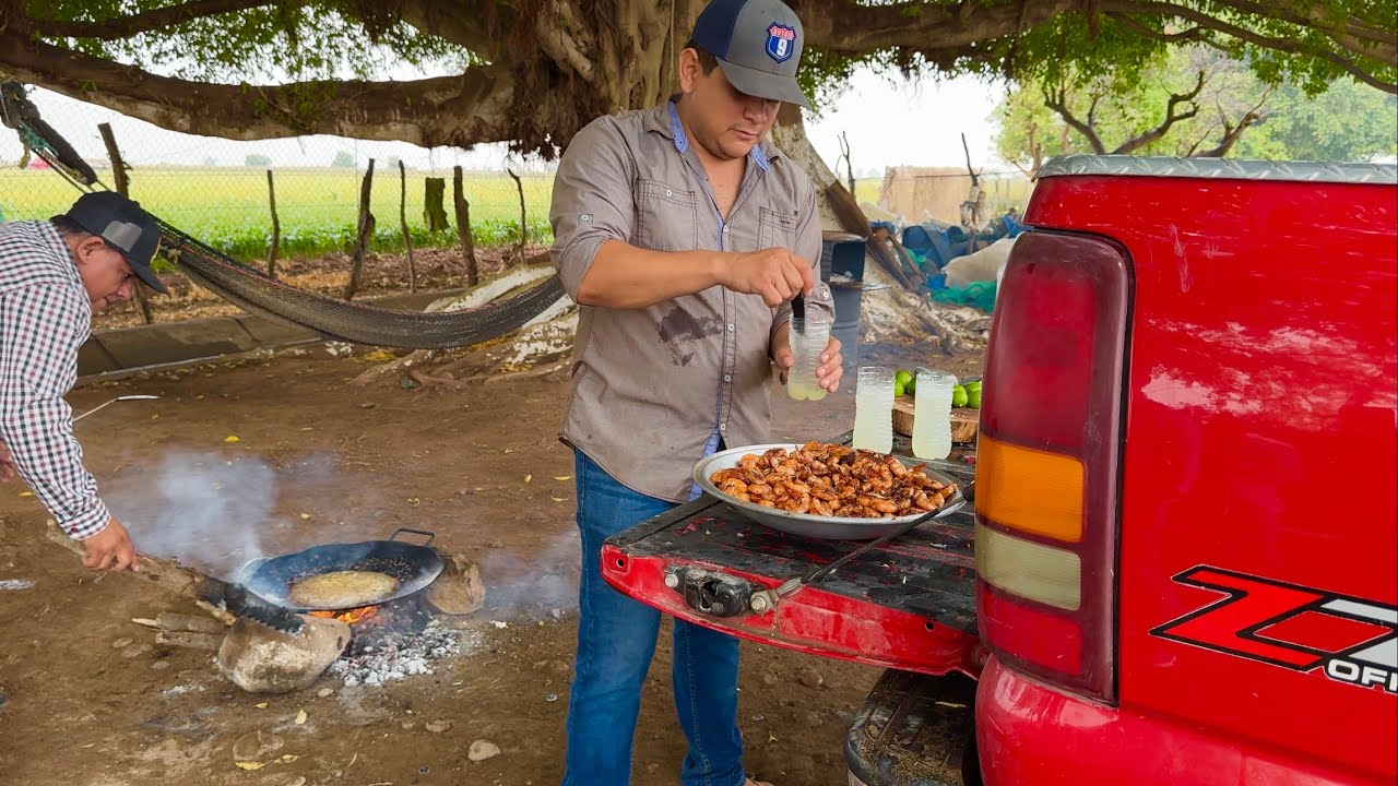 DELICIOSOS CAMARONES CUCARACHA, RECETA FACIL Y RAPIDA || RUTA LA NUEVE