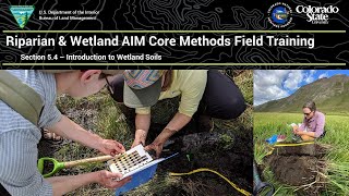 I Section 5 4   Intro to Wetland Soils
