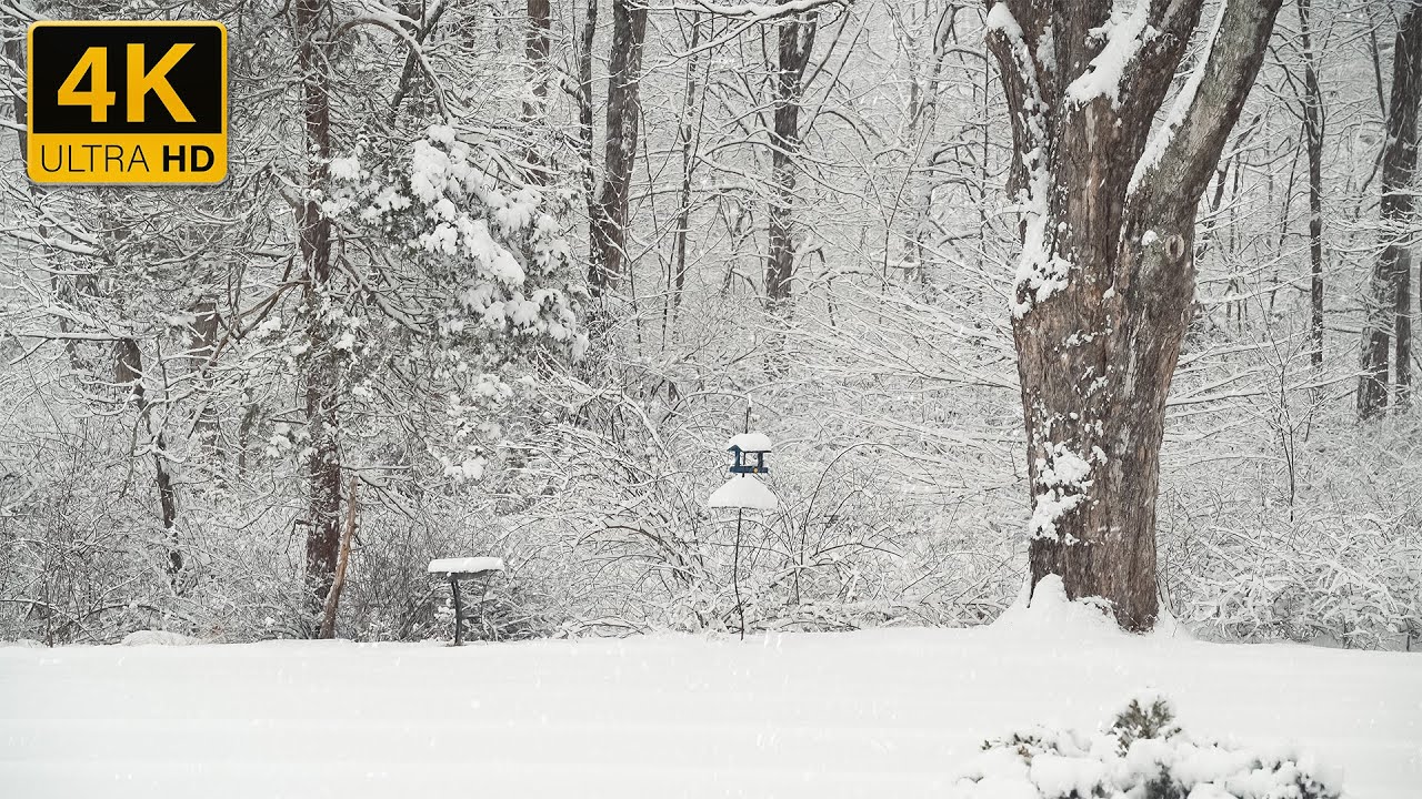 4K WINTER AMBIENCE: Snowstorm Sound for Deep Sleep, Study & Focus (3 Hours / 4K UHD / No Music)