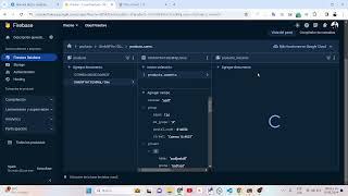 Firecms Subcollection, Collection Group, Appchek