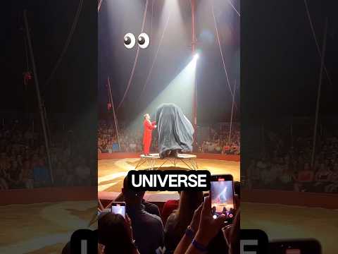 The Greatest Show in the Entire Universe