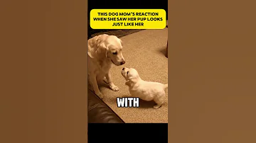 She Saw Him And Felt Proud 