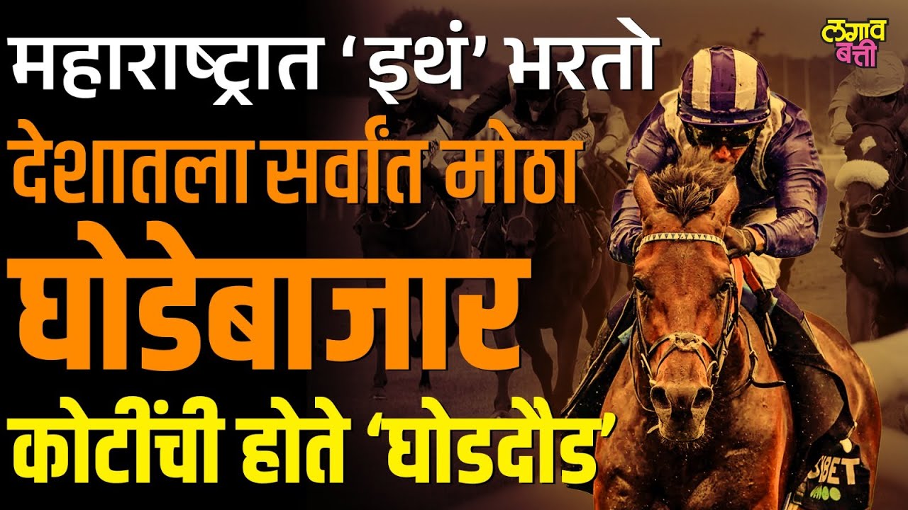 Jasper Horse Trading :  रोल्स रॉयस पेक्षाही देखणा आहे, खानदेशातला घोडा..  १९ कोटींची लागली होती बोली