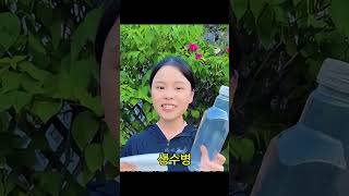 소나무 삽목, 이렇게 하세요 🌱