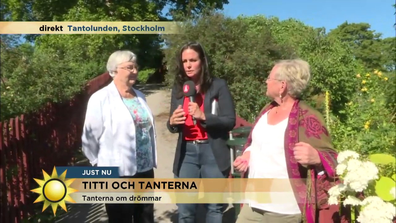 Titti och tanterna: "Inte hur man har det, men hur man tar det" - Nyhetsmorgon (TV4)