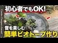 【すぐにできる!】安価でオシャレなビオトープ!短時間でプロ並みのクオリティができる!【Creating a Simple Backyard Biotope for Beginners】