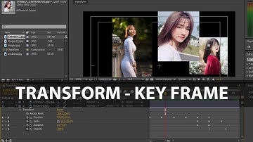 After Effect_Các chức năng trong Transform #dohoamaytinh #thietkedohoa