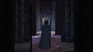 ПОТУЖНА ФІЛОСОФІЯ ПУСТЕЛІ  #elderscrolls