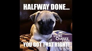 Gamified quizzes in the Classroom