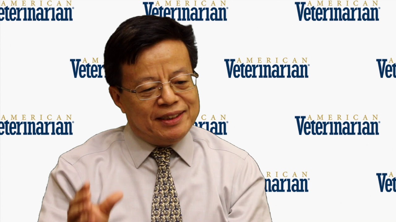 Acupuncture: What are the 5 Elements?