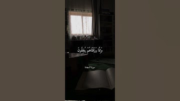 جَزَاءً بِمَا كَانُوا - تلاوة الشيخ عبدالرحمن مسعد #حالات_واتس .