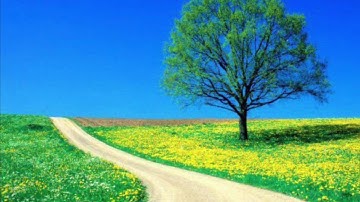 سورة الجمعة للقارئ عبدالله العليان - صلاة القيام ليلة 28 رمضان 1440