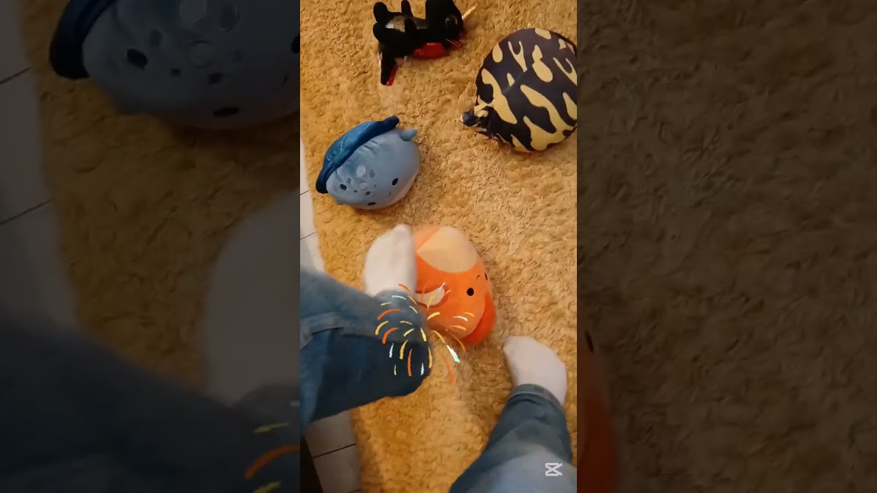 Cat song army part 3. Plan