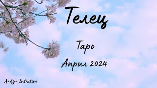 :      !  2024