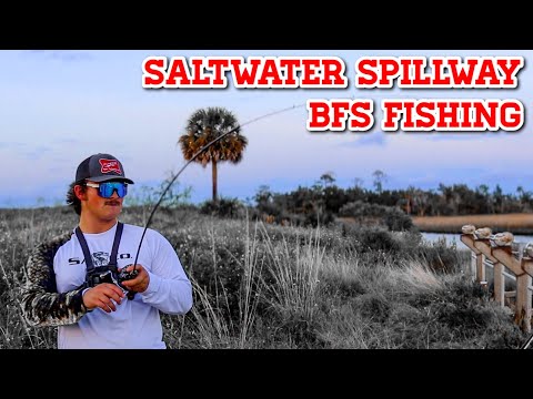 BFS Fishing A