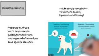 Theories of Development (Unit 3) by SENsible SENCO
