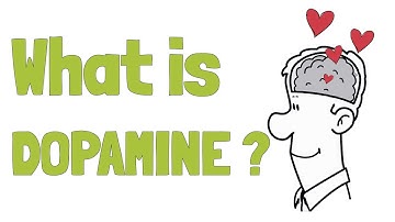 Discover EVERYTHING you need to know about DOPAMINE