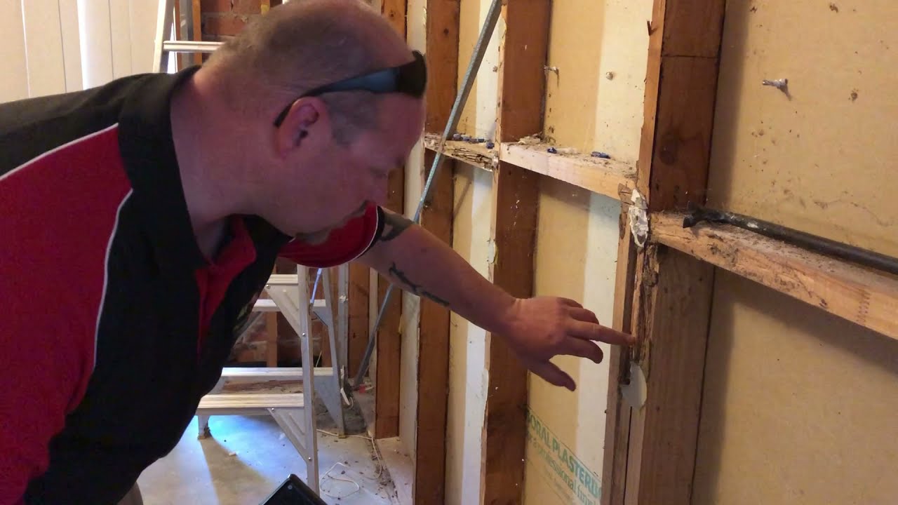 Prevent Termite Damage with Termite Control and Treatment Canberra