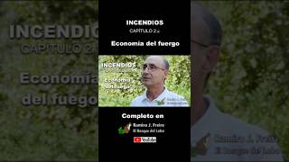 Incendios 2.1 - Economía del fuego